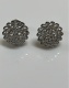 2801661.jpg