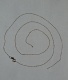 or081079.jpg