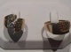 or081182.jpg