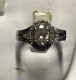 or081744.jpg