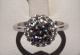 or081972.jpg