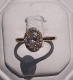 or083330.jpg