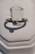 or083382.jpg
