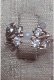 or083537.jpg