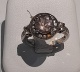 or083758.jpg