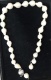 or083895.jpg