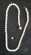 or083976.jpg