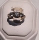 or084203.jpg